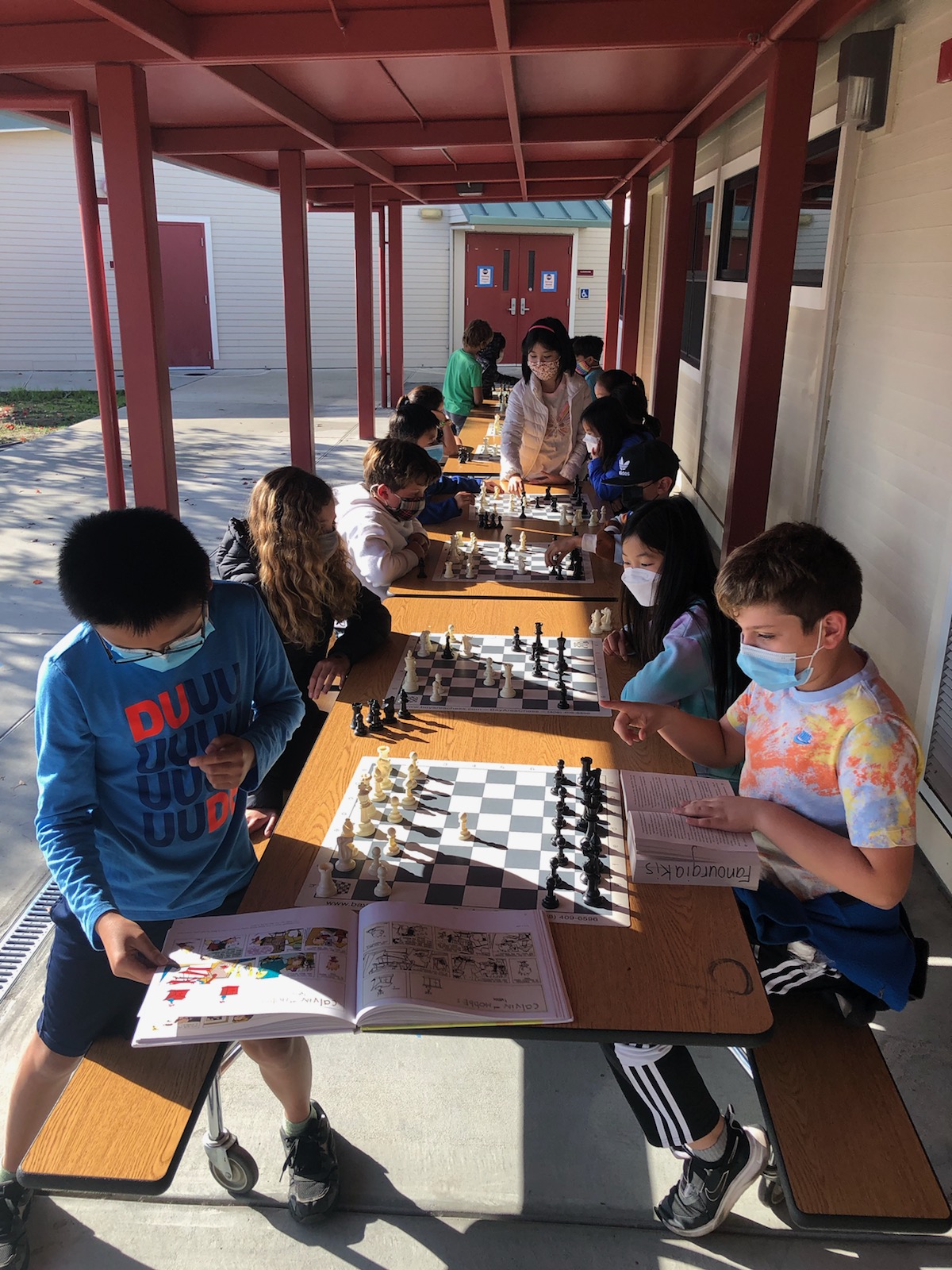 Home  Novato Chess Club