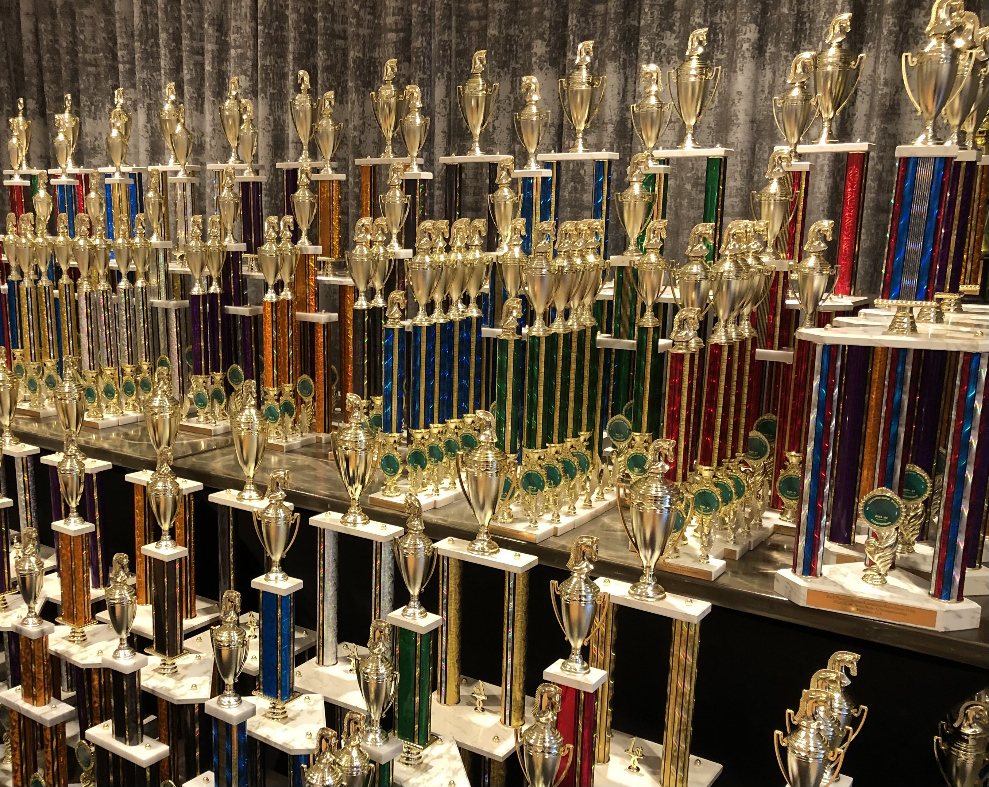 CALCHESS Super States Tournament