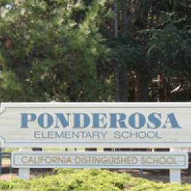 Ponderosa