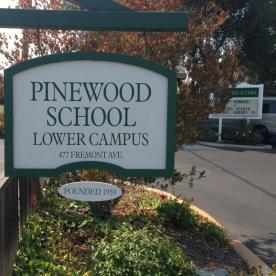 Pinewood lower