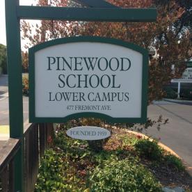 Pinewood