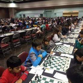 Queen's Gambit' fueling a Bay Area chess renaissance